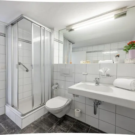 Hotel Alpina 3*