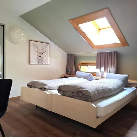 Alpina Hotel Schiers
