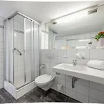 Hotel Alpina 3*